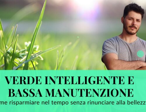 Verde intelligente e bassa manutenzione: come risparmiare nel tempo senza rinunciare alla bellezza